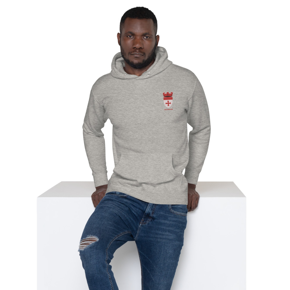 Sauvagnas, Armoiries - Sweat à capuche premium, unisexe
