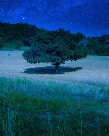Sauvagnas, Silence dans nuit
