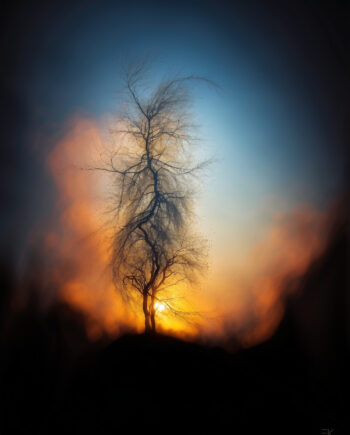 Andrea Ikensen - Symphonie in Major Shadow