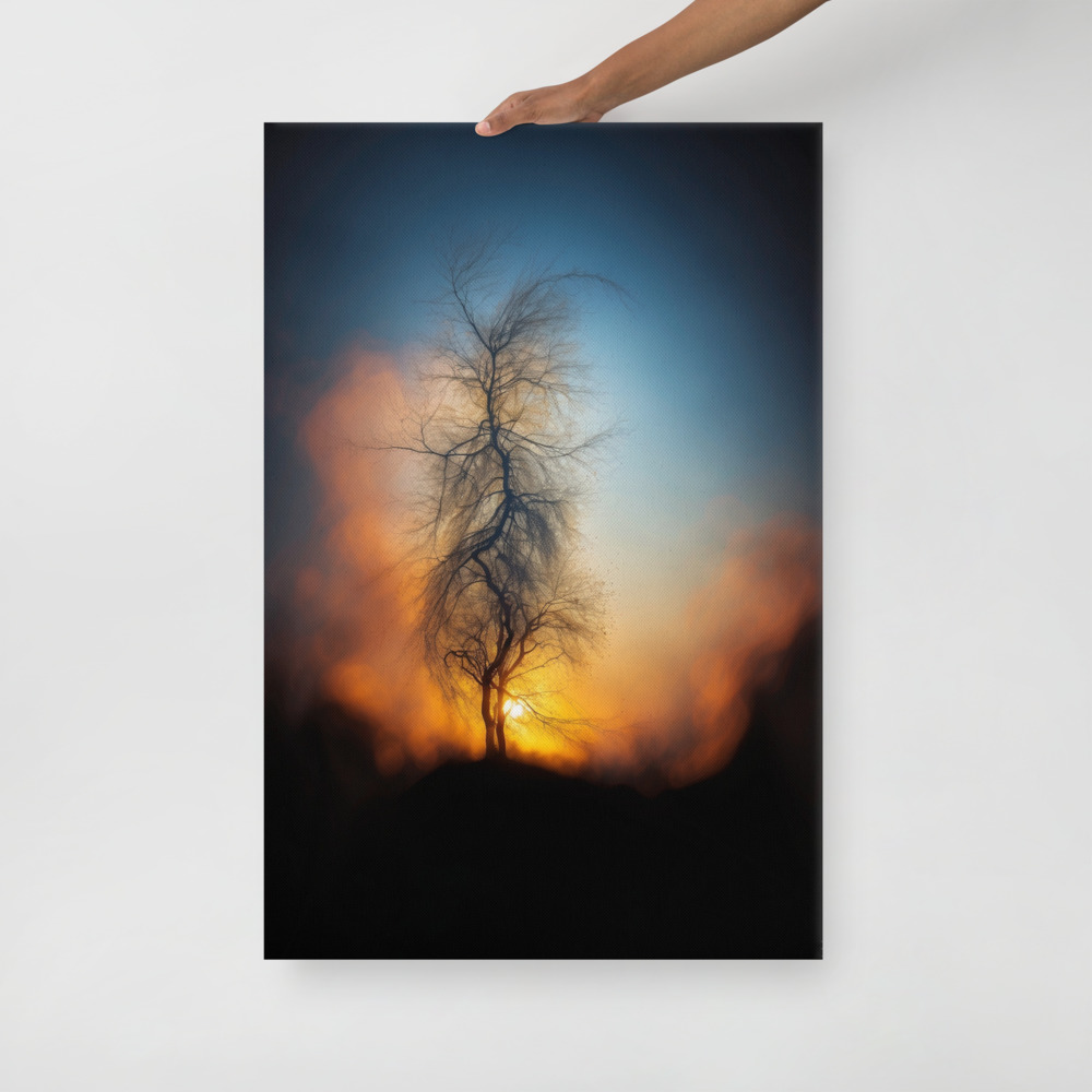 Symphonie en Ombre Majeure
