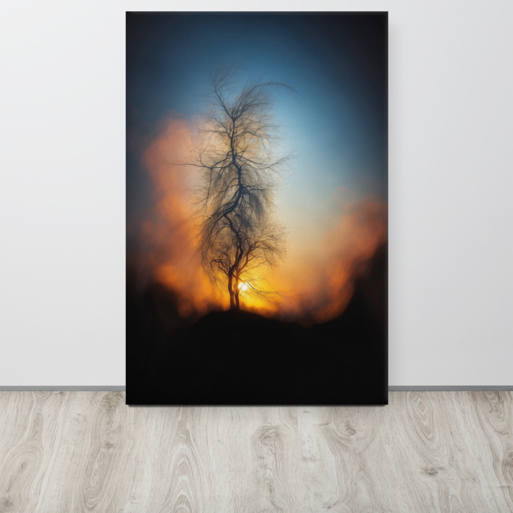 Symphonie en Ombre Majeure